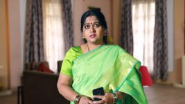 Raja Rani S01E459 Meena Is Mortified Full Episode