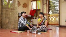 Raja Rani S01E464 Archana and Amudhan Reunite Full Episode