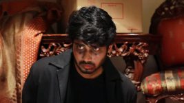 Raja Rani S01E469 Harish Calls Chandran for Help Full Episode