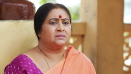 Raja Rani S01E471 Lakshmi's Request to the Family Full Episode