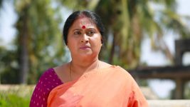 Raja Rani S01E474 Lakshmi Lashes Out at Amudhan Full Episode