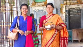 Raja Rani S01E479 Veni's Caring Gesture Full Episode