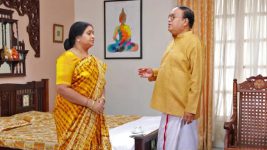 Raja Rani S01E575 Rajasekhar, Lakshmi Keep a Secret Full Episode