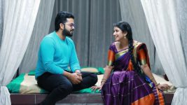 Raja Rani S01E577 Karthik's Advice to Semba Full Episode