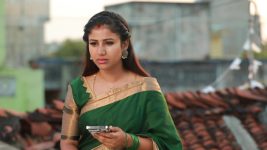 Raja Rani S02E106 Tough Times for Sandhya Full Episode