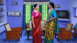 Raja Rani S02E108 Soundharya's Request to Kannamma Full Episode