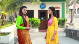 Raja Rani S02E117 Venba, Parvathy's Vile Plan Full Episode