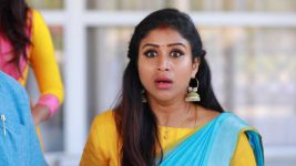 Raja Rani S02E118 Sandhya in a Fix Full Episode