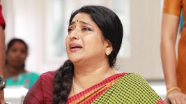 Raja Rani S02E481 Sivagami Fears the Worst Full Episode
