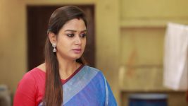 Raja Rani S02E493 Sandhya Accepts the Condition Full Episode