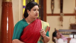 Raja Rani S02E96 Sivagami to Help Saravanan? Full Episode