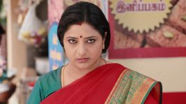 Raja Rani S02E97 Sivagami's Timely Help Full Episode