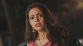 Saang Too Ahes Ka S01E105 Vaibhavi Senses Danger Full Episode