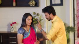 Sahkutumb Sahaparivar S01E489 Vaibhav Berates Avni Full Episode