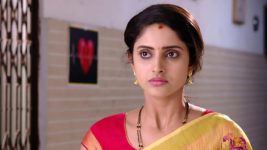 Savitramma Gari Abbayi S01E137 Nandini Learns the Truth Full Episode