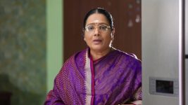 Senthoora Poove S01E120 Rajalakshmi Is Overjoyed Full Episode