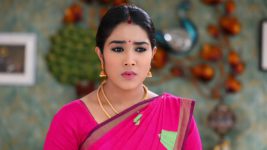Senthoora Poove S01E125 Roja to Reveal the Truth? Full Episode