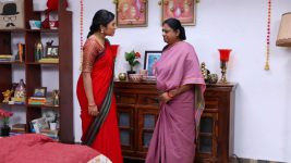 Senthoora Poove S01E184 Roja Questions Muthulakshmi Full Episode