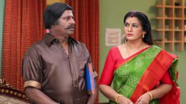 Senthoora Poove S01E225 Rajendran Recalls a Past Event Full Episode