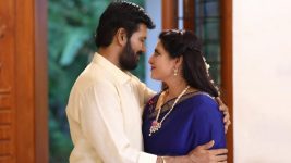 Senthoora Poove S01E232 Durai, Aruna Welcome Parenthood Full Episode