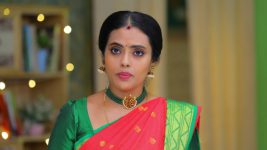 Senthoora Poove S01E333 Priya Unwraps a Shock Full Episode