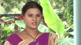 shambhavi S01E100 Chitra Executes Her Plan Full Episode