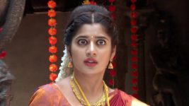 shambhavi S01E115 A Shock Awaits Shambhavi Full Episode