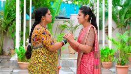 Srimathi Srinivas S01E147 Sridevi's Appeal to Mangala Full Episode