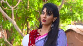 Sukh Mhanje Nakki Kay Asta S01E191 Shalini Swears Revenge Full Episode