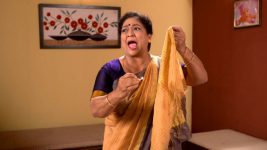 Sukh Mhanje Nakki Kay Asta S01E439 Sugandha to End Her Life Full Episode