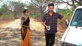 Sundarakanda S01E101 Jai, Mahalakshmi Team Up Full Episode