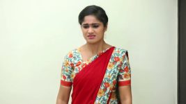 Sundhari Neeyum Sundharan Naanum S01E100 Thamizh Faces Struggle Full Episode