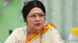 Sundhari Neeyum Sundharan Naanum S01E187 Vijaya Lakshmi Is Infuriated Full Episode