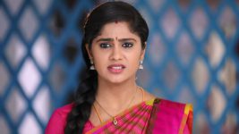 Sundhari Neeyum Sundharan Naanum S01E191 Tamizh's Desperate Efforts Full Episode