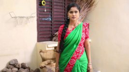 Sundhari Neeyum Sundharan Naanum S01E195 Tamizh Stands Firm Full Episode