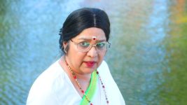 Sundhari Neeyum Sundharan Naanum S01E197 Vijaya Lakshmi's Fury Full Episode