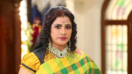 Sundhari Neeyum Sundharan Naanum S01E202 Indra's Devious Plan Full Episode
