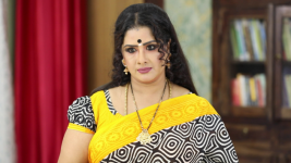 Sundhari Neeyum Sundharan Naanum S01E238 Indra Up to Evil Again? Full Episode