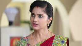 Sundhari Neeyum Sundharan Naanum S01E240 Tamizh Smells Something Fishy Full Episode