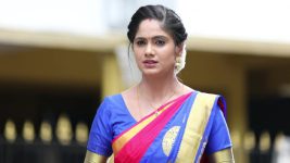 Sundhari Neeyum Sundharan Naanum S01E246 Tamizh Gets Sentimental Full Episode