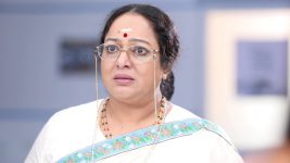 Sundhari Neeyum Sundharan Naanum S01E250 Vijaya Lakshmi Spots Ezhil Full Episode