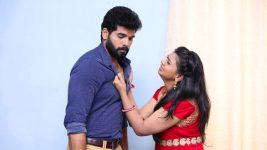 Sundhari Neeyum Sundharan Naanum S01E251 Divya Questions Saravanan Full Episode