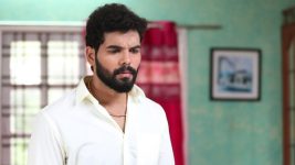 Sundhari Neeyum Sundharan Naanum S01E254 What Is Saravanan Up to? Full Episode