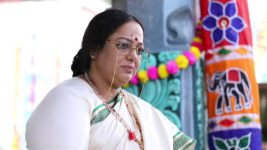 Sundhari Neeyum Sundharan Naanum S01E285 Vijaya Lakshmi to Surrender? Full Episode