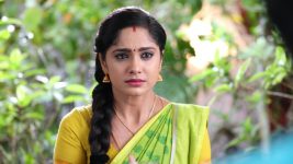 Sundhari Neeyum Sundharan Naanum S01E287 Tamizh Gets Emotional Full Episode