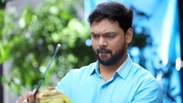 Sundhari Neeyum Sundharan Naanum S01E288 Velu's Warm Gesture Full Episode