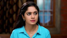 Sundhari Neeyum Sundharan Naanum S01E290 What Is Tamizh Up to? Full Episode