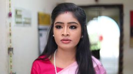 Sundhari Neeyum Sundharan Naanum S01E293 Ezhil Advises Tamizh Full Episode