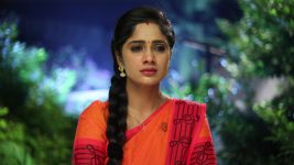 Sundhari Neeyum Sundharan Naanum S01E299 Tough Times for Velu, Tamizh Full Episode