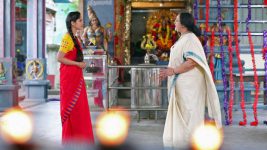 Sundhari Neeyum Sundharan Naanum S01E305 Vijaya Lakshmi Meets Tamizh Full Episode